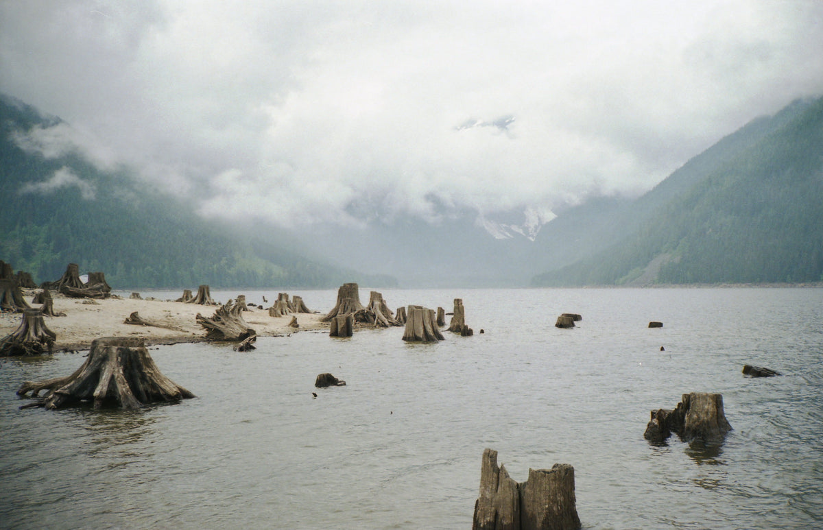 This Just In-spiration: Meet Marco Facciola and Stephen Washer